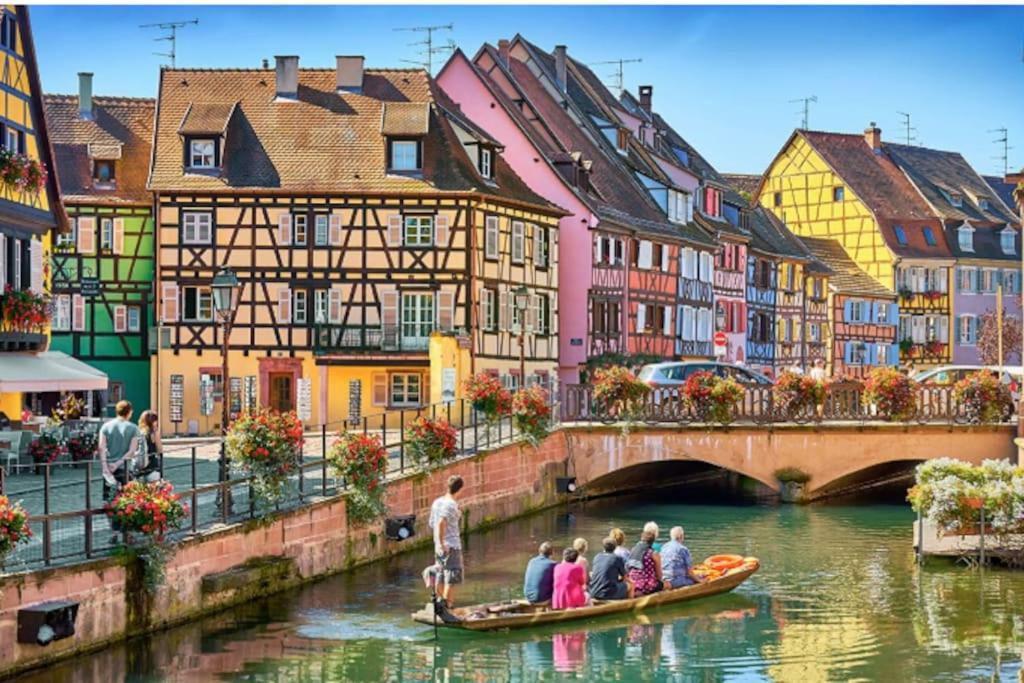 Colmar Centre - Le Schickeleアパートメント エクステリア 写真
